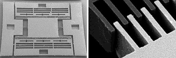 The actuator in the micro channel chip and its movable portion (5μm)